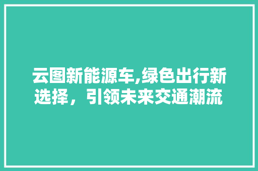 云图新能源车,绿色出行新选择，引领未来交通潮流