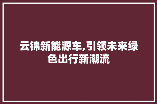 云锦新能源车,引领未来绿色出行新潮流 车型评测