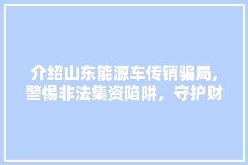 介绍山东能源车传销骗局,警惕非法集资陷阱，守护财产安全