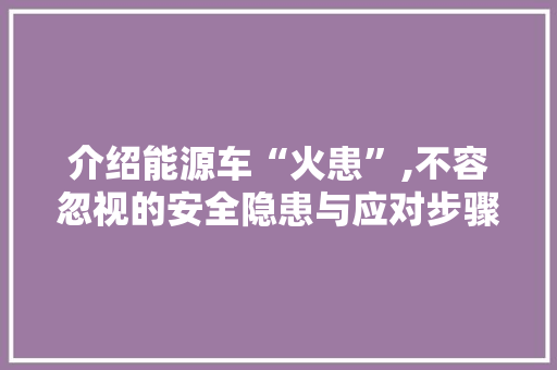 介绍能源车“火患”,不容忽视的安全隐患与应对步骤