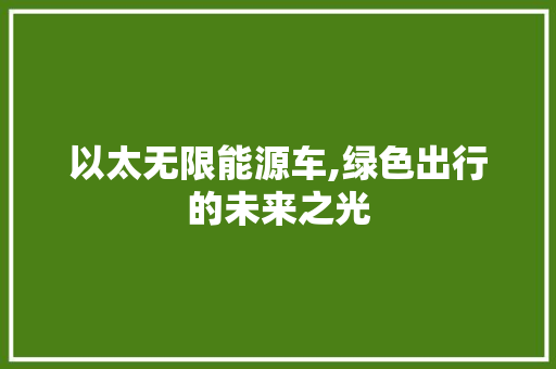 以太无限能源车,绿色出行的未来之光 汽车配件