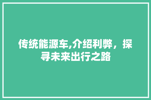 传统能源车,介绍利弊，探寻未来出行之路 车载导航