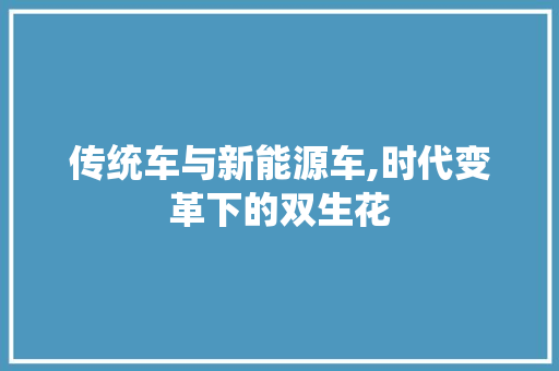 传统车与新能源车,时代变革下的双生花 新能源汽车