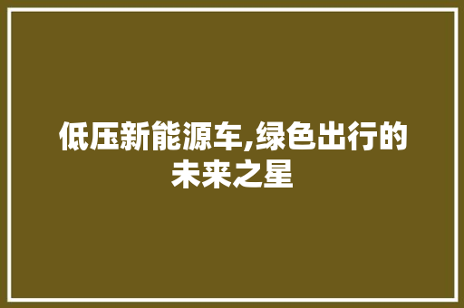 低压新能源车,绿色出行的未来之星
