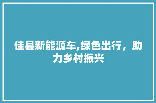 佳县新能源车,绿色出行，助力乡村振兴