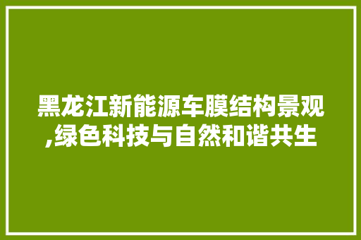 黑龙江新能源车膜结构景观,绿色科技与自然和谐共生的典范