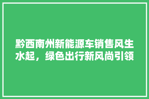 黔西南州新能源车销售风生水起，绿色出行新风尚引领未来