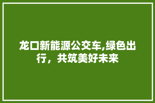 龙口新能源公交车,绿色出行，共筑美好未来