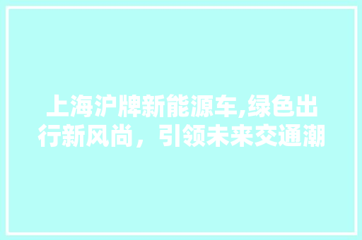 上海沪牌新能源车,绿色出行新风尚，引领未来交通潮流 自动驾驶