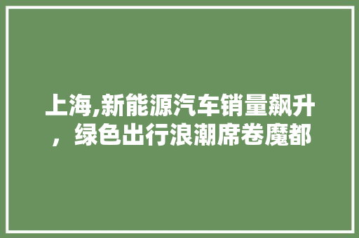 上海,新能源汽车销量飙升，绿色出行浪潮席卷魔都