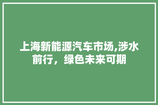 上海新能源汽车市场,涉水前行，绿色未来可期