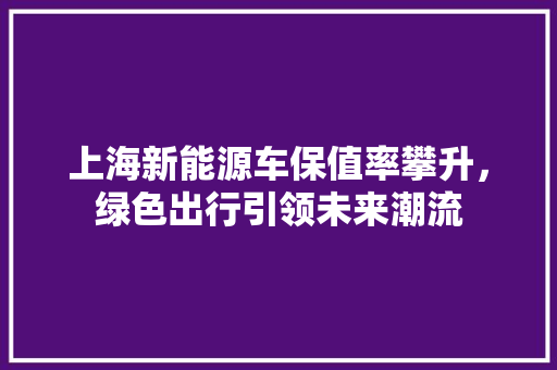 上海新能源车保值率攀升，绿色出行引领未来潮流