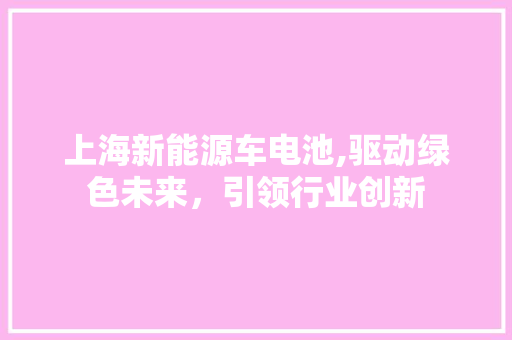 上海新能源车电池,驱动绿色未来，引领行业创新