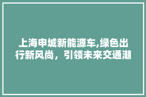 上海申城新能源车,绿色出行新风尚，引领未来交通潮流