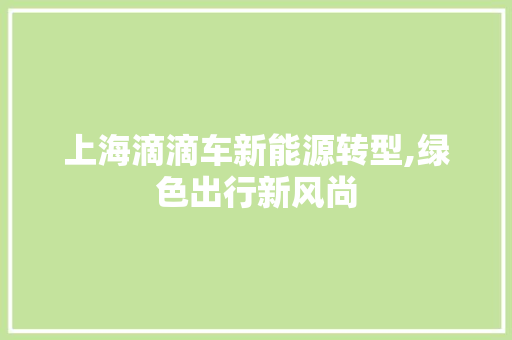 上海滴滴车新能源转型,绿色出行新风尚