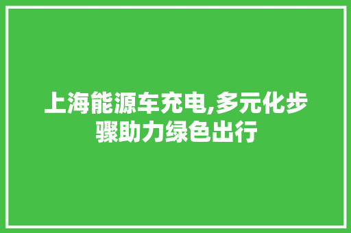 上海能源车充电,多元化步骤助力绿色出行