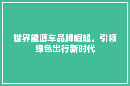 世界能源车品牌崛起，引领绿色出行新时代