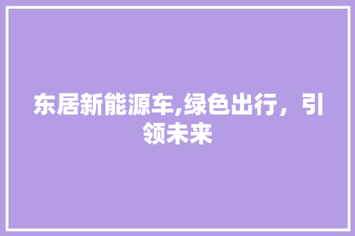 东居新能源车,绿色出行，引领未来