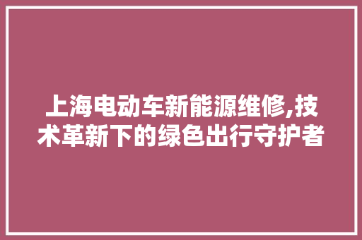上海电动车新能源维修,技术革新下的绿色出行守护者 新能源汽车