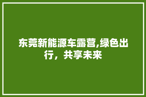 东莞新能源车露营,绿色出行，共享未来
