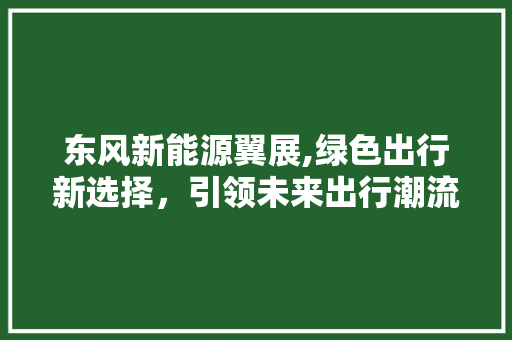 东风新能源翼展,绿色出行新选择，引领未来出行潮流 车联网技术