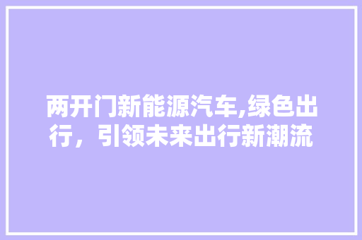 两开门新能源汽车,绿色出行，引领未来出行新潮流