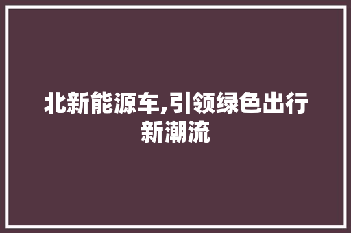 北新能源车,引领绿色出行新潮流