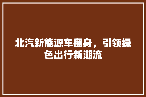北汽新能源车翻身，引领绿色出行新潮流 车载导航