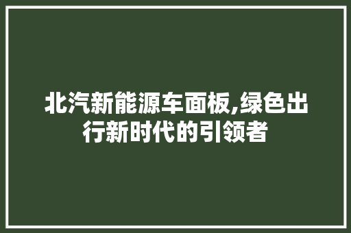 北汽新能源车面板,绿色出行新时代的引领者