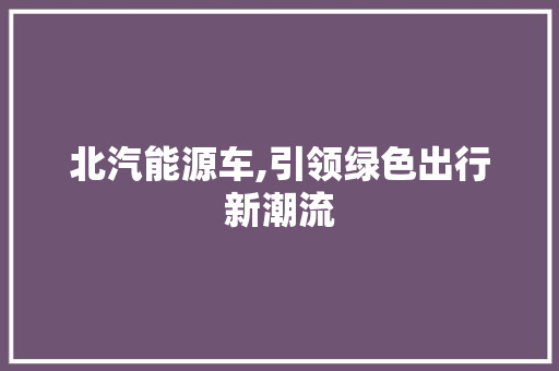 北汽能源车,引领绿色出行新潮流