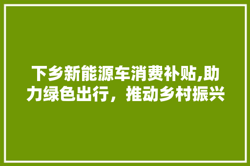 下乡新能源车消费补贴,助力绿色出行，推动乡村振兴