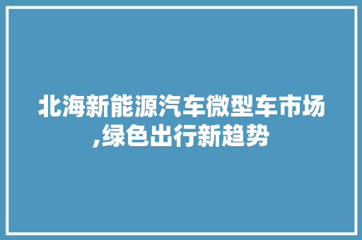 北海新能源汽车微型车市场,绿色出行新趋势