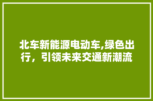 北车新能源电动车,绿色出行，引领未来交通新潮流