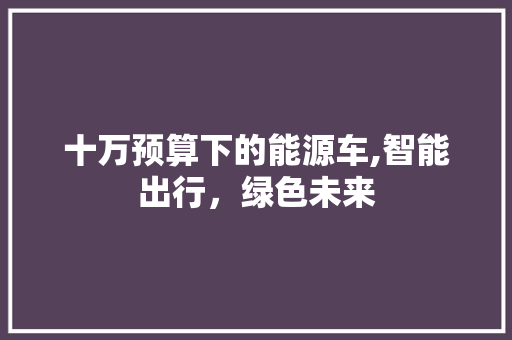 十万预算下的能源车,智能出行，绿色未来