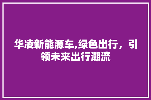华凌新能源车,绿色出行，引领未来出行潮流