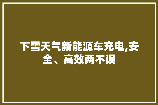 下雪天气新能源车充电,安全、高效两不误