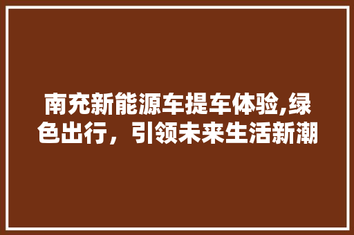 南充新能源车提车体验,绿色出行，引领未来生活新潮流