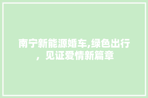 南宁新能源婚车,绿色出行，见证爱情新篇章