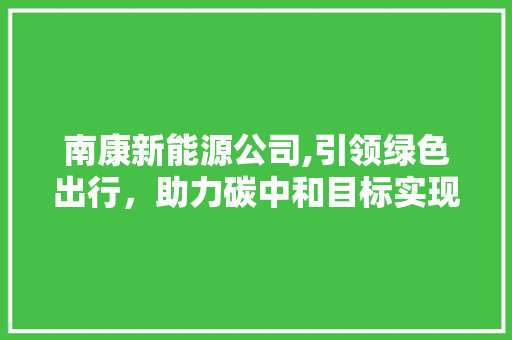 南康新能源公司,引领绿色出行，助力碳中和目标实现 车型评测