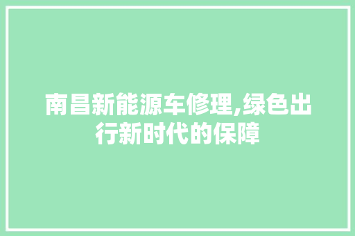南昌新能源车修理,绿色出行新时代的保障