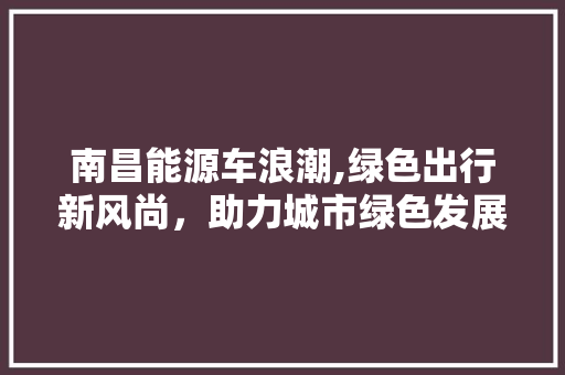 南昌能源车浪潮,绿色出行新风尚，助力城市绿色发展
