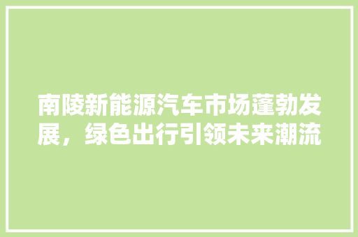 南陵新能源汽车市场蓬勃发展，绿色出行引领未来潮流
