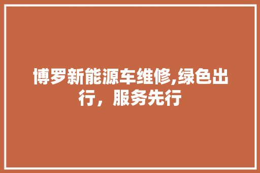 博罗新能源车维修,绿色出行，服务先行