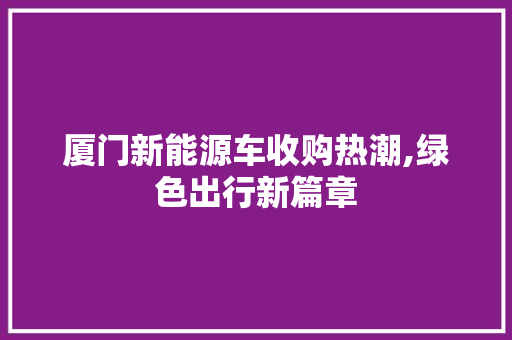 厦门新能源车收购热潮,绿色出行新篇章 自动驾驶