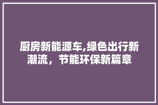 厨房新能源车,绿色出行新潮流，节能环保新篇章