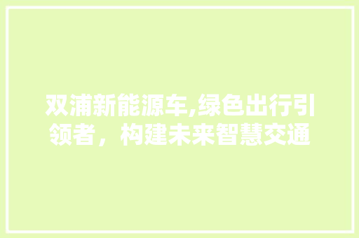 双浦新能源车,绿色出行引领者，构建未来智慧交通