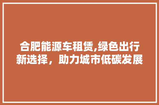 合肥能源车租赁,绿色出行新选择，助力城市低碳发展