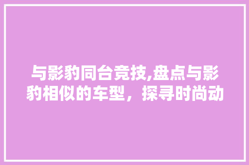 与影豹同台竞技,盘点与影豹相似的车型，探寻时尚动感的新宠