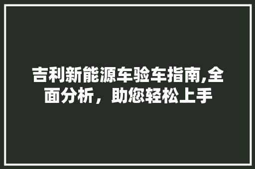 吉利新能源车验车指南,全面分析，助您轻松上手