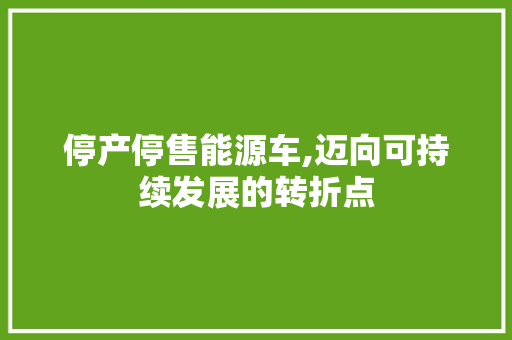 停产停售能源车,迈向可持续发展的转折点
